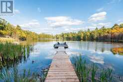 28034 HIGHWAY 41 | Greater Madawaska Ontario | Slide Image Forty-four