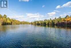 28034 HIGHWAY 41 | Greater Madawaska Ontario | Slide Image Forty-seven