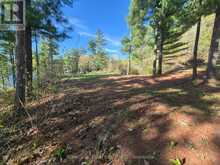 0 RED ROCK ROAD | Killaloe, Hagarty and Richards Ontario | Slide Image Fifteen