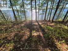 0 RED ROCK ROAD | Killaloe, Hagarty and Richards Ontario | Slide Image Seventeen
