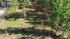 0 RED ROCK ROAD | Killaloe, Hagarty and Richards Ontario | Slide Image Five