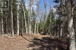 27681 HIGHWAY 60 HIGHWAY | South Algonquin Ontario | Slide Image Thirteen