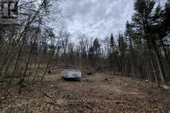 27681 HIGHWAY 60 HIGHWAY | South Algonquin Ontario | Slide Image Sixteen