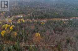 27681 HIGHWAY 60 HIGHWAY | South Algonquin Ontario | Slide Image Five