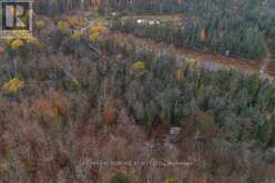 27681 HIGHWAY 60 HIGHWAY | South Algonquin Ontario | Slide Image Eight