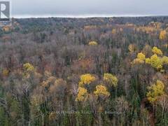 27681 HIGHWAY 60 HIGHWAY South Algonquin Ontario, K0J 2M0