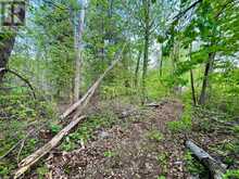 PT LT 9 FOYMOUNT ROAD | Bonnechere Valley Ontario | Slide Image Thirty
