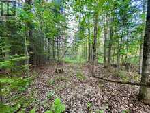 PT LT 9 FOYMOUNT ROAD | Bonnechere Valley Ontario | Slide Image Eight