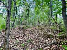 PT LT 9 FOYMOUNT ROAD | Bonnechere Valley Ontario | Slide Image Nine