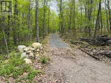 0 WALES DRIVE | Madawaska Valley Ontario | Slide Image Ten