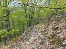 0 WALES DRIVE | Madawaska Valley Ontario | Slide Image Thirteen