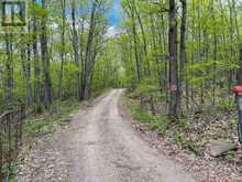 0 WALES DRIVE | Madawaska Valley Ontario | Slide Image Nine