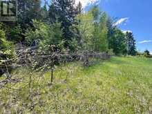 2527 MATAWATCHAN ROAD | Greater Madawaska Ontario | Slide Image Nine