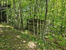 388 O'GRADY SETTLEMENT ROAD | Killaloe, Hagarty and Richards Ontario | Slide Image Nineteen