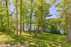 3233 CALABOGIE ROAD | Greater Madawaska Ontario | Slide Image Twenty-one