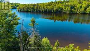 3233 CALABOGIE ROAD | Greater Madawaska Ontario | Slide Image Five