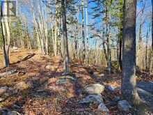 790 MITCHELL ROAD | Madawaska Valley Ontario | Slide Image Eleven