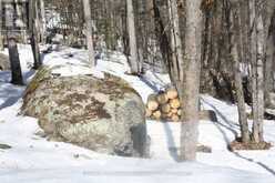 790 MITCHELL ROAD | Madawaska Valley Ontario | Slide Image Twelve