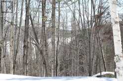 790 MITCHELL ROAD | Madawaska Valley Ontario | Slide Image Thirteen