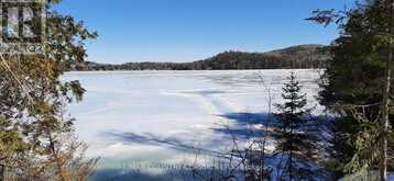 790 MITCHELL ROAD | Madawaska Valley Ontario | Slide Image Sixteen