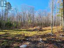 790 MITCHELL ROAD | Madawaska Valley Ontario | Slide Image One