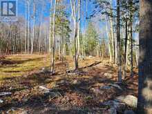 790 MITCHELL ROAD | Madawaska Valley Ontario | Slide Image Two