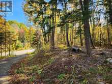 790 MITCHELL ROAD | Madawaska Valley Ontario | Slide Image Three