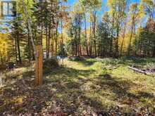 790 MITCHELL ROAD | Madawaska Valley Ontario | Slide Image Seven
