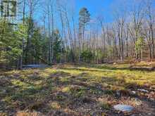 790 MITCHELL ROAD | Madawaska Valley Ontario | Slide Image Eight