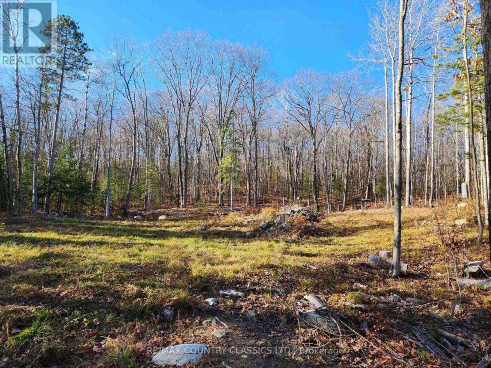 790 MITCHELL ROAD, Madawaska Valley, Ontario K0J 1B0