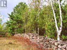 144 TREBINSKI ROAD | Madawaska Valley Ontario | Slide Image Thirty-one