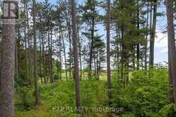 465 HUMPHRIES ROAD | Renfrew Ontario | Slide Image Thirteen
