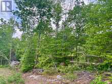 47 ARBOR VITAE ROAD | Madawaska Valley Ontario | Slide Image Seventeen