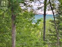47 ARBOR VITAE ROAD | Madawaska Valley Ontario | Slide Image Three