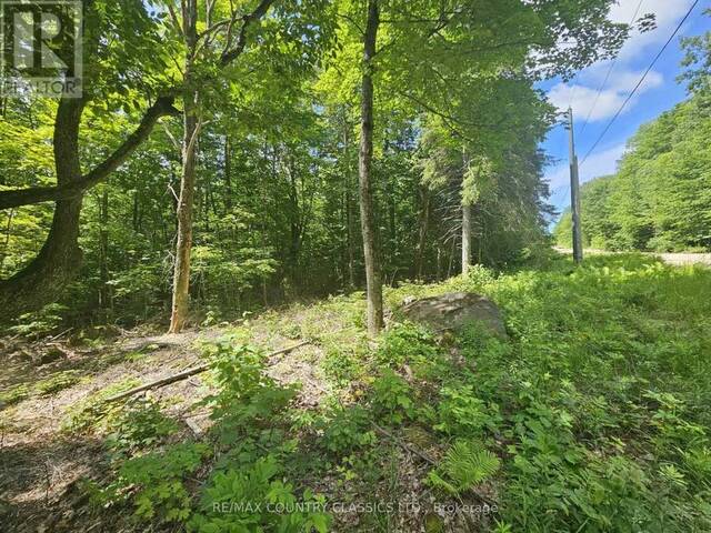 PT LT 22 O'GRADY SETTLEMENT ROAD Killaloe, Hagarty and Richards Ontario, K0J 2A0 - Vacant Land For Sale