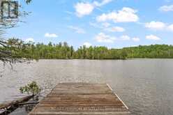 442B STRINGER DRIVE | Bancroft Ontario | Slide Image Thirty-seven