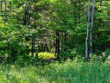 00 JOHNSTON ROAD | Renfrew Ontario | Slide Image Eight