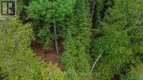 B LOT ARBOR VITAE ROAD | Madawaska Valley Ontario | Slide Image Ten