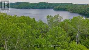 B LOT ARBOR VITAE ROAD | Madawaska Valley Ontario | Slide Image Thirteen