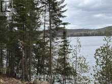 B LOT ARBOR VITAE ROAD | Madawaska Valley Ontario | Slide Image Eighteen