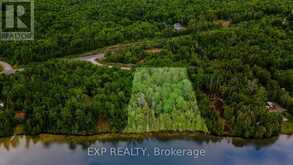 B LOT ARBOR VITAE ROAD | Madawaska Valley Ontario | Slide Image One