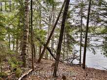 B LOT ARBOR VITAE ROAD | Madawaska Valley Ontario | Slide Image Twenty
