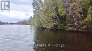 B LOT ARBOR VITAE ROAD | Madawaska Valley Ontario | Slide Image Twenty-three