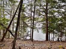 B LOT ARBOR VITAE ROAD | Madawaska Valley Ontario | Slide Image Two