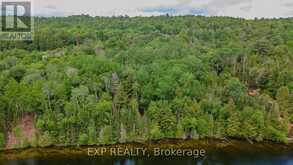 B LOT ARBOR VITAE ROAD | Madawaska Valley Ontario | Slide Image Six