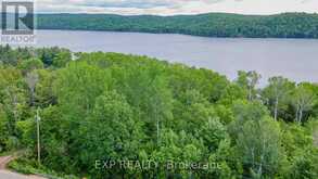 B LOT ARBOR VITAE ROAD | Madawaska Valley Ontario | Slide Image Seven