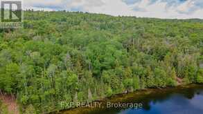 B LOT ARBOR VITAE ROAD | Madawaska Valley Ontario | Slide Image Eight