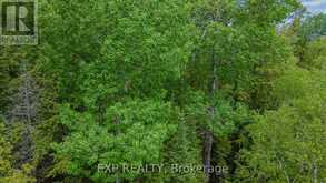 B LOT ARBOR VITAE ROAD | Madawaska Valley Ontario | Slide Image Nine