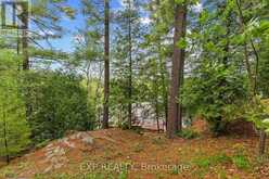 129 LOON COVE TRAIL | North Algona Wilberforce Ontario | Slide Image Eleven