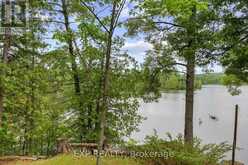 129 LOON COVE TRAIL | North Algona Wilberforce Ontario | Slide Image Twelve